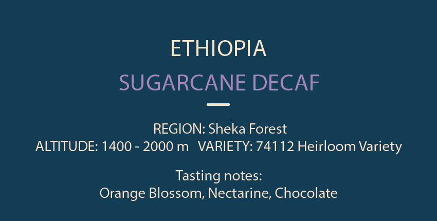 Sheka from Ethiopia (Decaf Omni Roast)