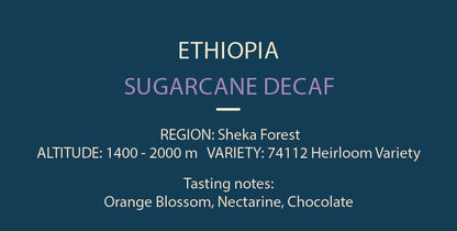 Sheka from Ethiopia (Decaf Omni Roast)